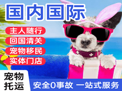 凤凰机场空运国际宠物托运 【国